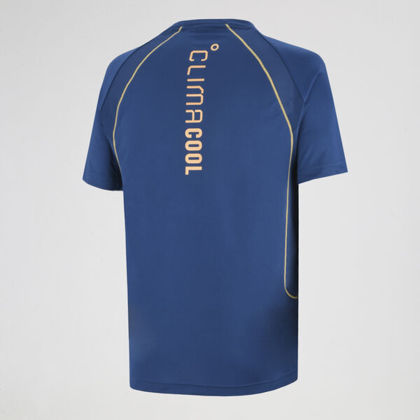 Remera Entrenamiento adidas Climacool Hombre