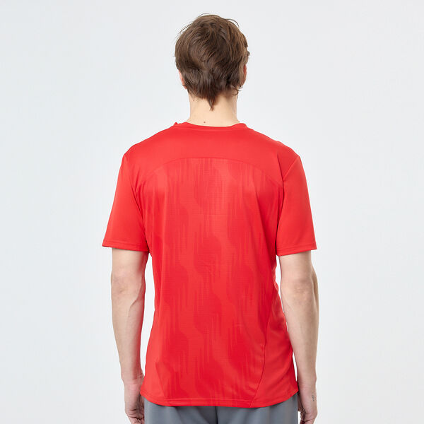 Camiseta Independiente Puma Entrenamiento 2024 Hombre