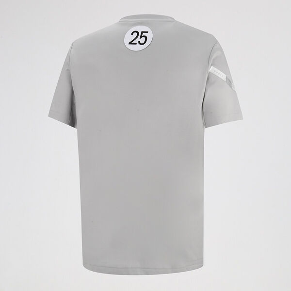 Remera adidas Mercedes Amg F1 Team Dna Hombre