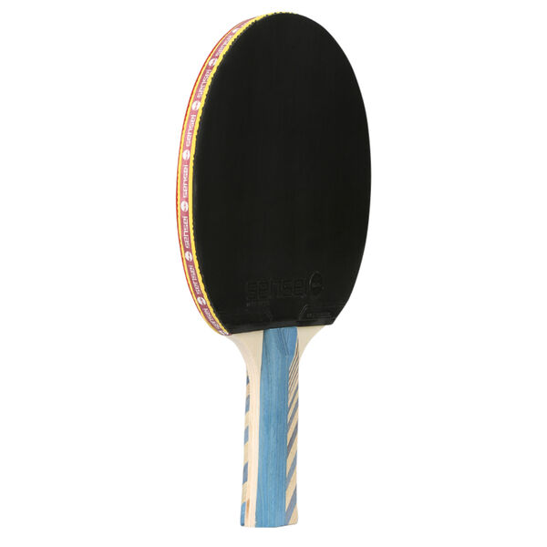 Paletas de Ping-Pong Sensei 3 Star