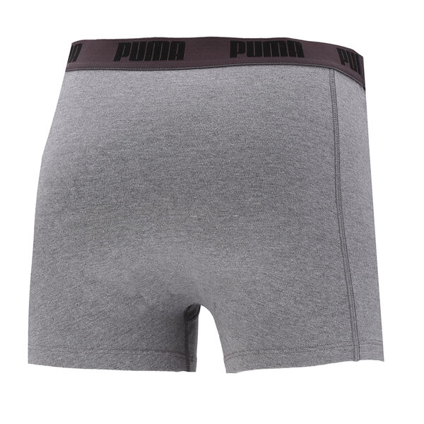 Boxer Puma Basic