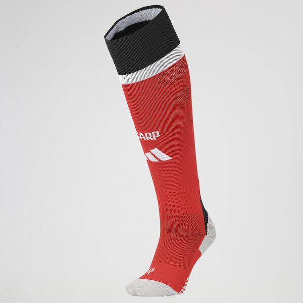 Medias River Plate adidas Alternativa 25/26