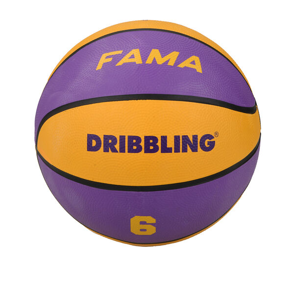 Pelota Básquet Dribbling Fama N7