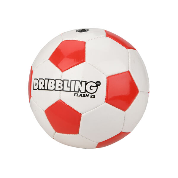 Pelota Dribbling Flash 22