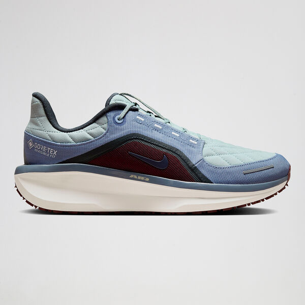 Zapatillas Running Nike Air Winflo 11 GTX Hombre