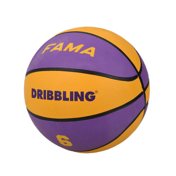 Pelota Básquet Dribbling Fama N5