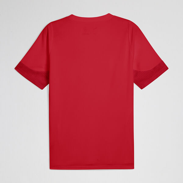 Remera Independiente Puma Entrenamiento Hombre
