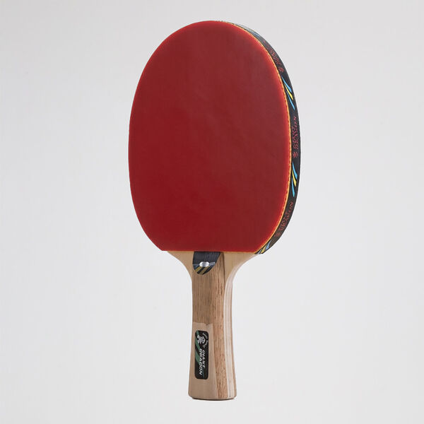 Paleta Ping Pong Giant Dragon 2 Estrellas