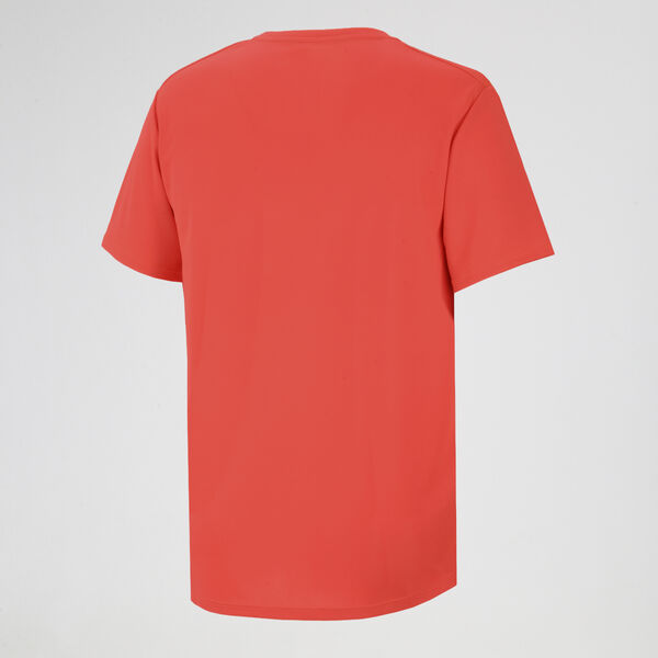 Remera Nike Miler Hombre