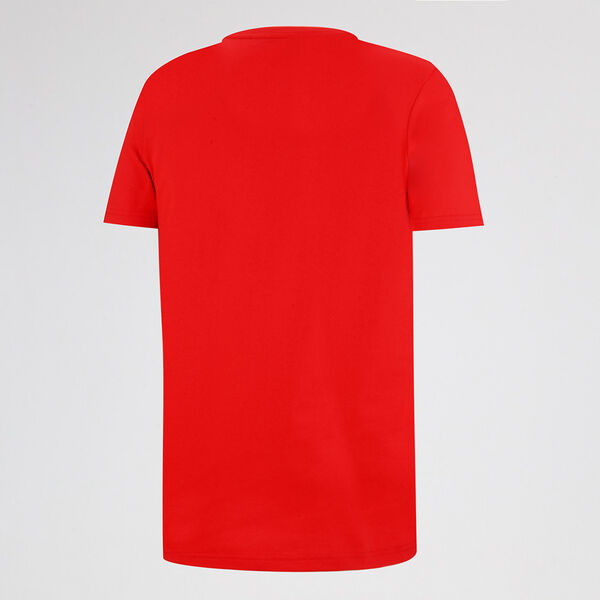 Remera Independiente Puma FTBL Hombre