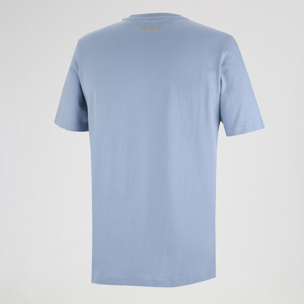Remera AFA Argentina adidas Aniversario DNA 24/25 Hombre