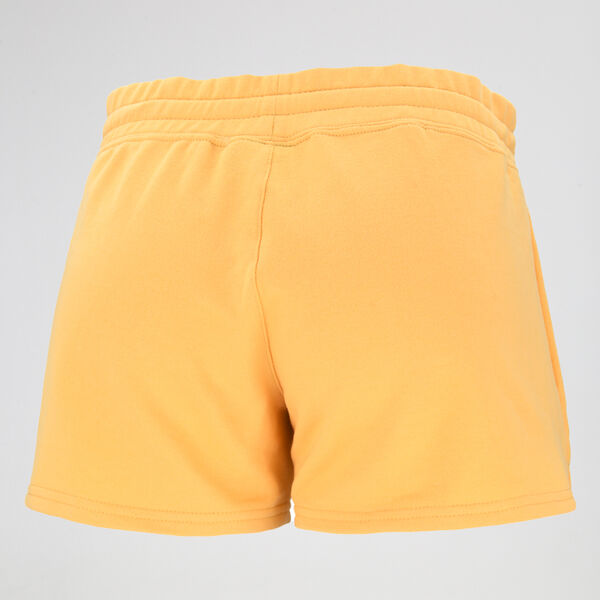 Short Converse Nova