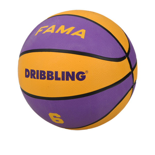 Pelota Básquet Dribbling Fama N7