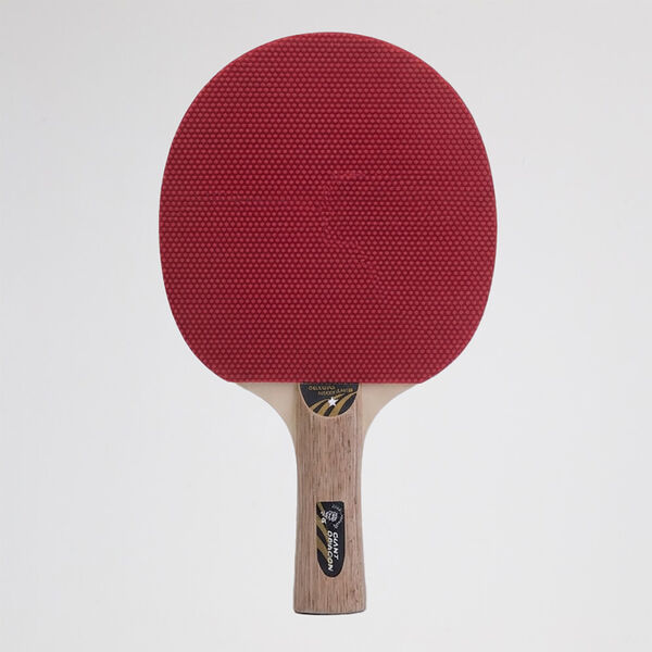 Paleta Ping Pong Giant Dragon 1 Estrella