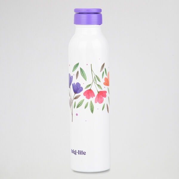 Botella Big Life Aluminio