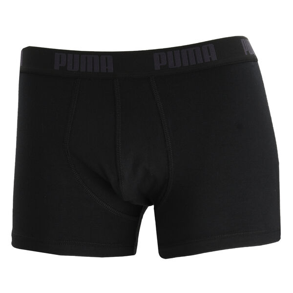 Boxer Puma Basic