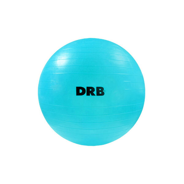Pelota Dribbling Gym Goma 55