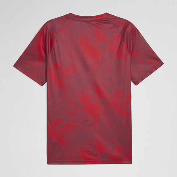 Remera Independiente Puma Warm Hombre