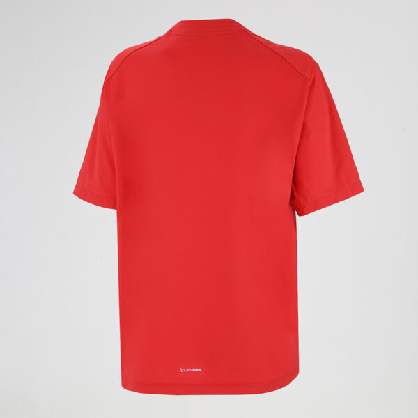 Remera adidas Terrex Multi Climacool Mujer