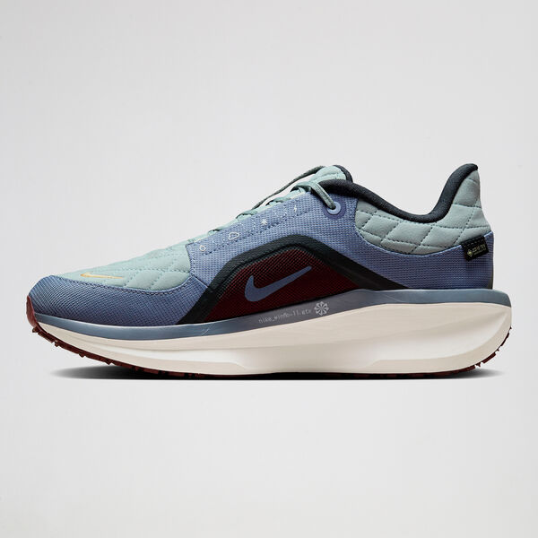 Zapatillas Running Nike Air Winflo 11 GTX Hombre