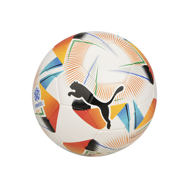 Pelota Fútbol Puma Cumbre Conmebol Libertadores Ms N5