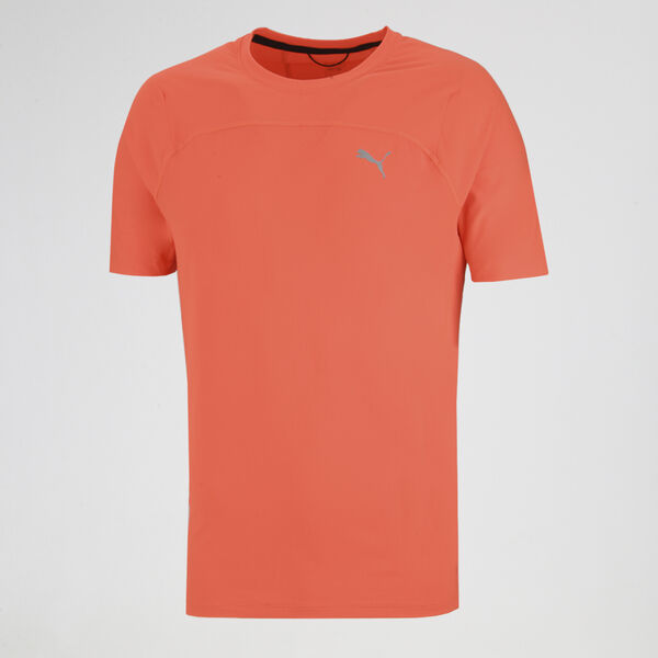 Remera Puma Seasons Hombre