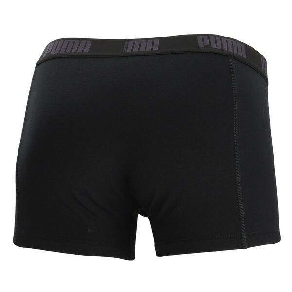 Boxer Puma Basic