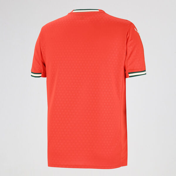 Camiseta Portugal Puma Titular 2025 Hombre