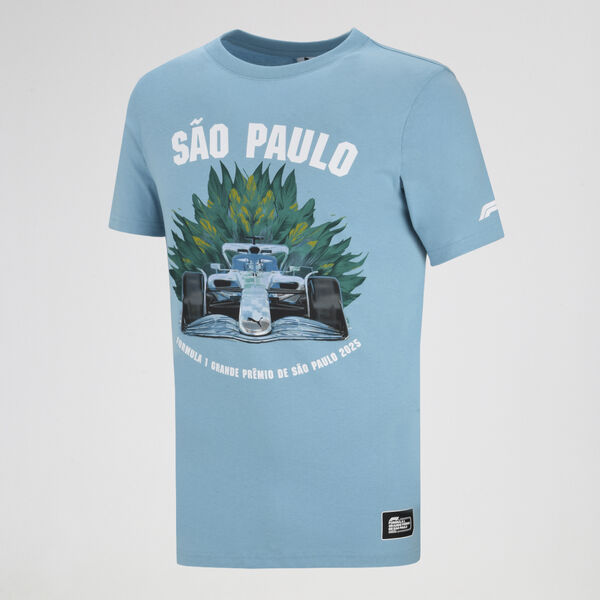 Remera Puma F1 Brazil Hombre