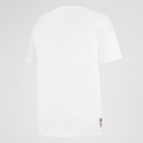Remera River Plate adidas Seasonal Graphic Hombre