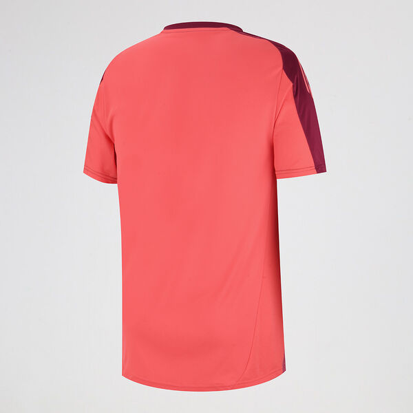 Camiseta adidas River Plate Entrenamiento 24/25 Hombre