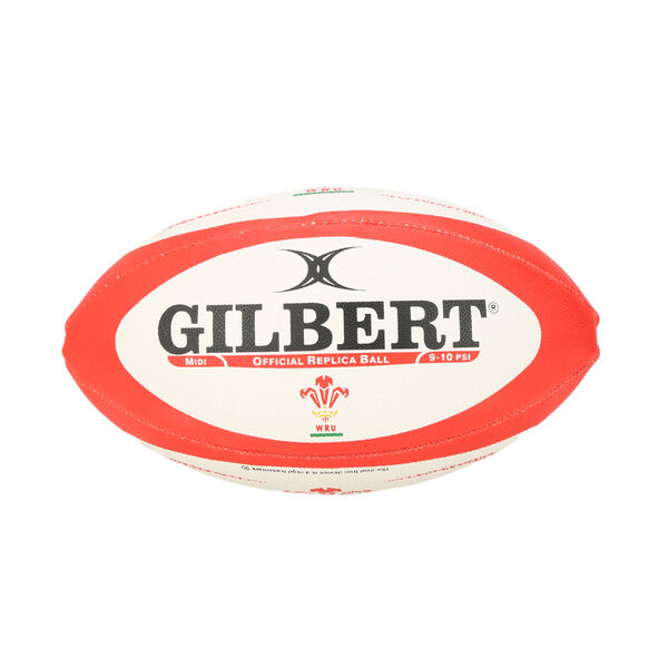 Pelota Gilbert Midi 2015