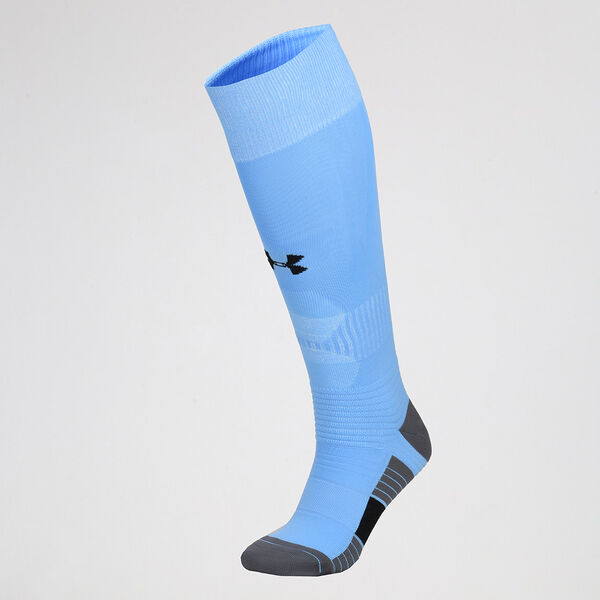 Medias Entrenamiento Under Armour Leonas Titular 2022