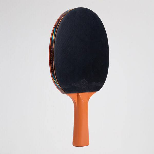 Paleta Ping Pong Giant Dragon 4 Estrellas