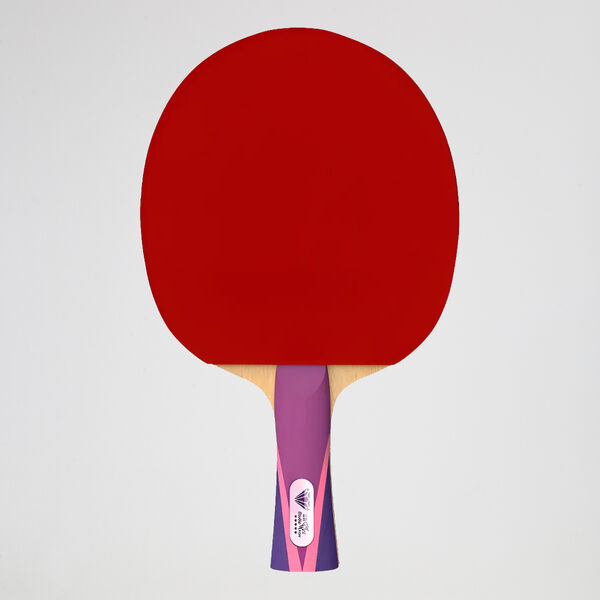 Paleta Ping Pong Double Fish 5 Diamonds