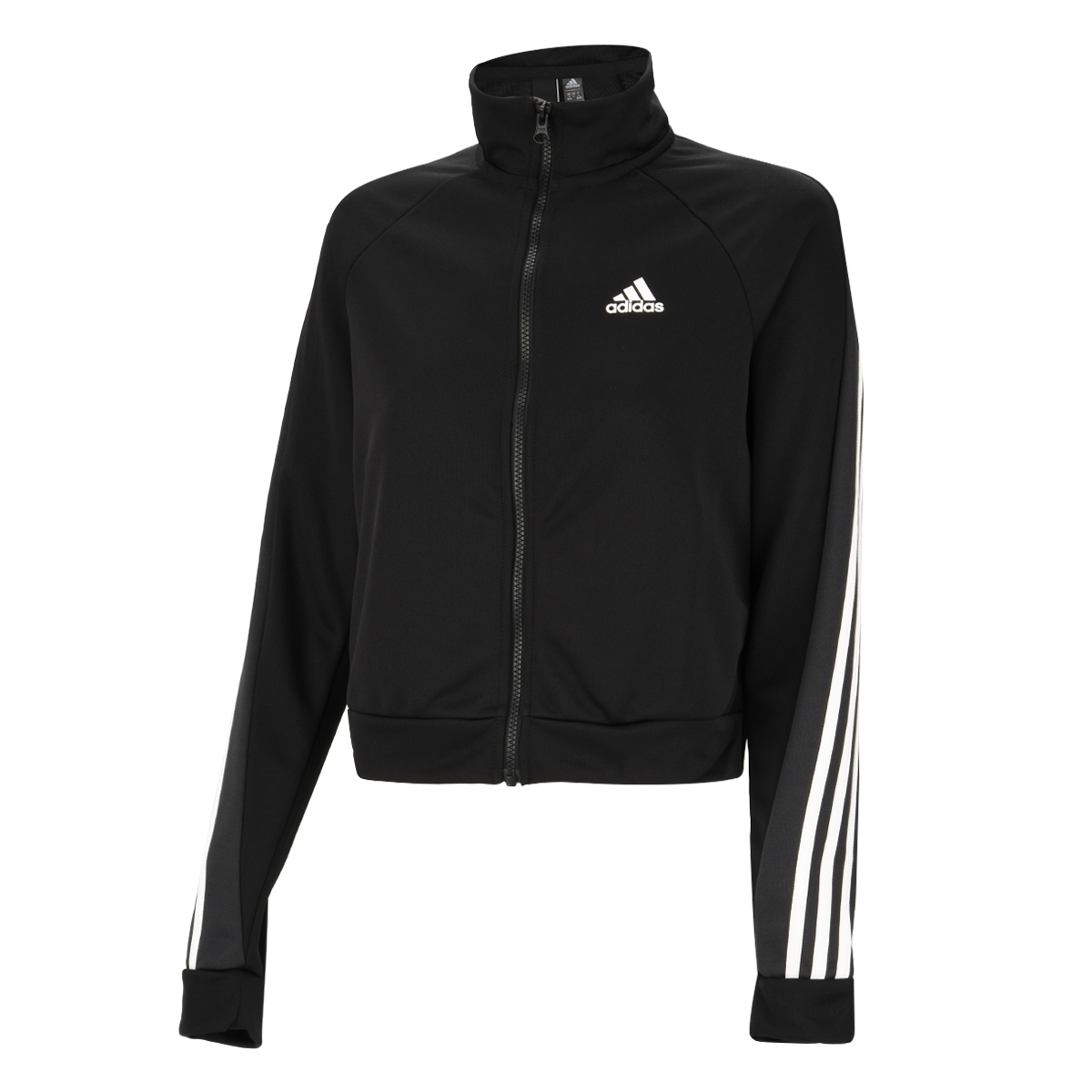 Conjunto adidas Sportswear Teamsport,  image number null