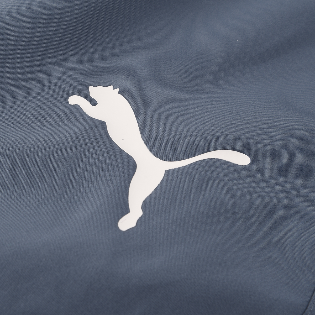 Pantalón Manchester City Puma Pre Partido Hombre,  image number null