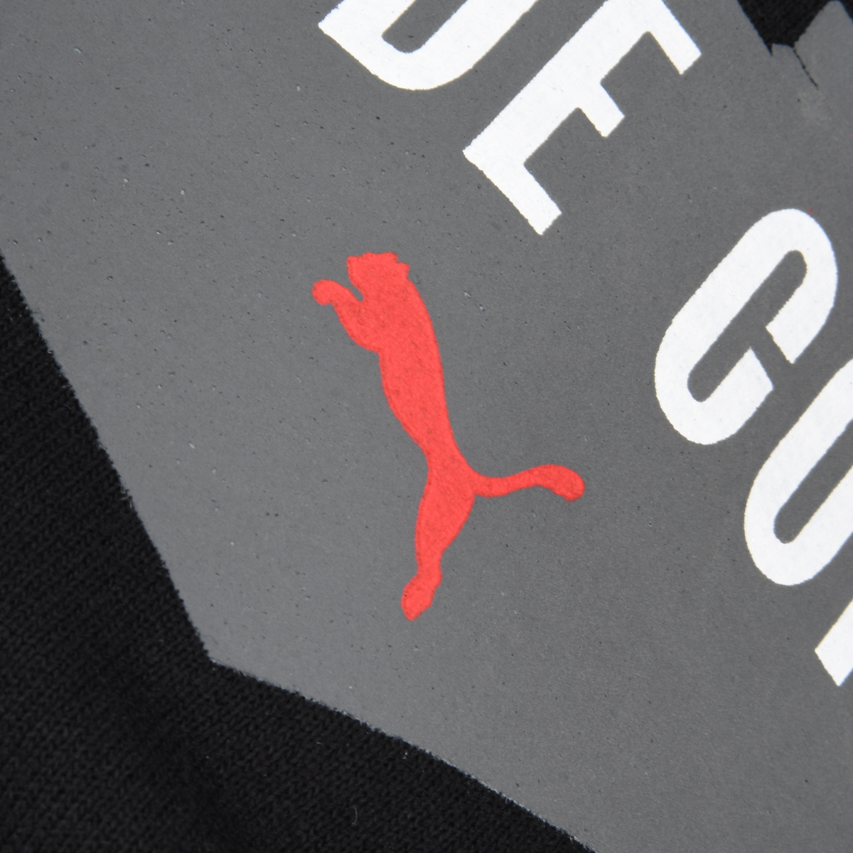 Buzo Independiente Puma Culture 2026 Hombre con capucha,  image number null