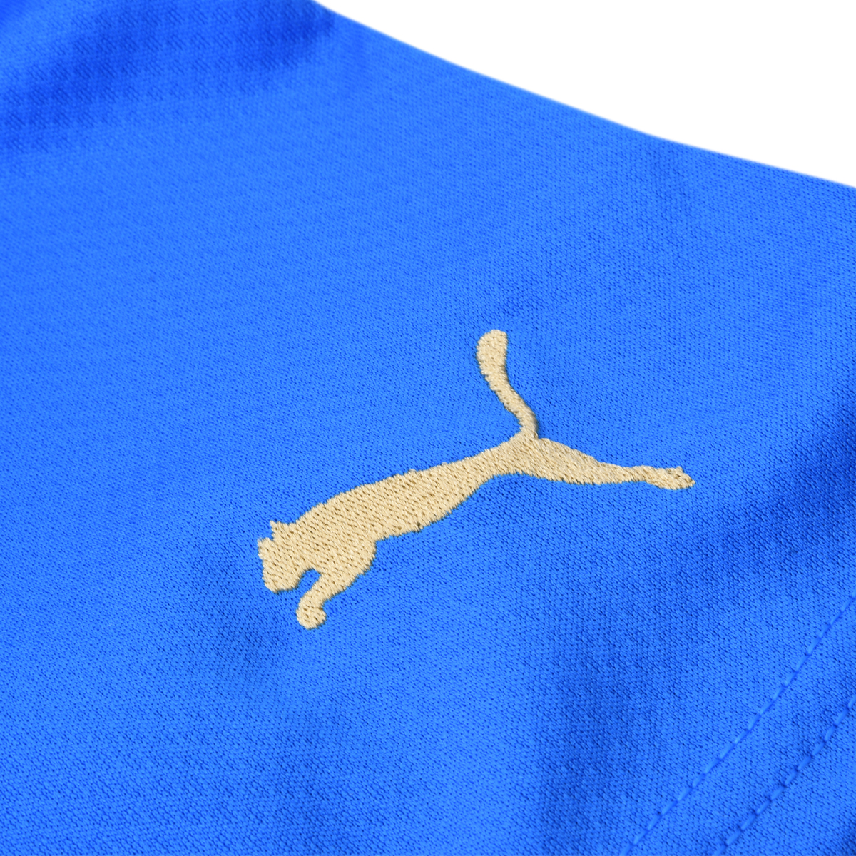 Camiseta Italia  Puma Titular Replica 22/23 Hombre,  image number null