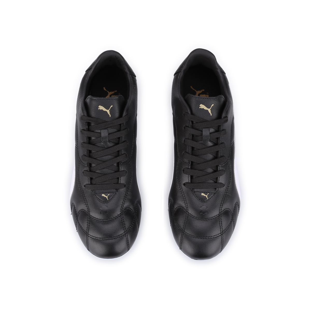 Botines Puma Borussia 2.0 Fg Dexter
