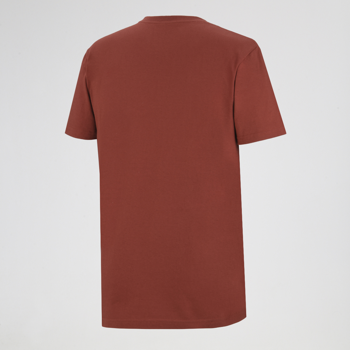 Remera AWCA Lanin de Hombre,  image number null