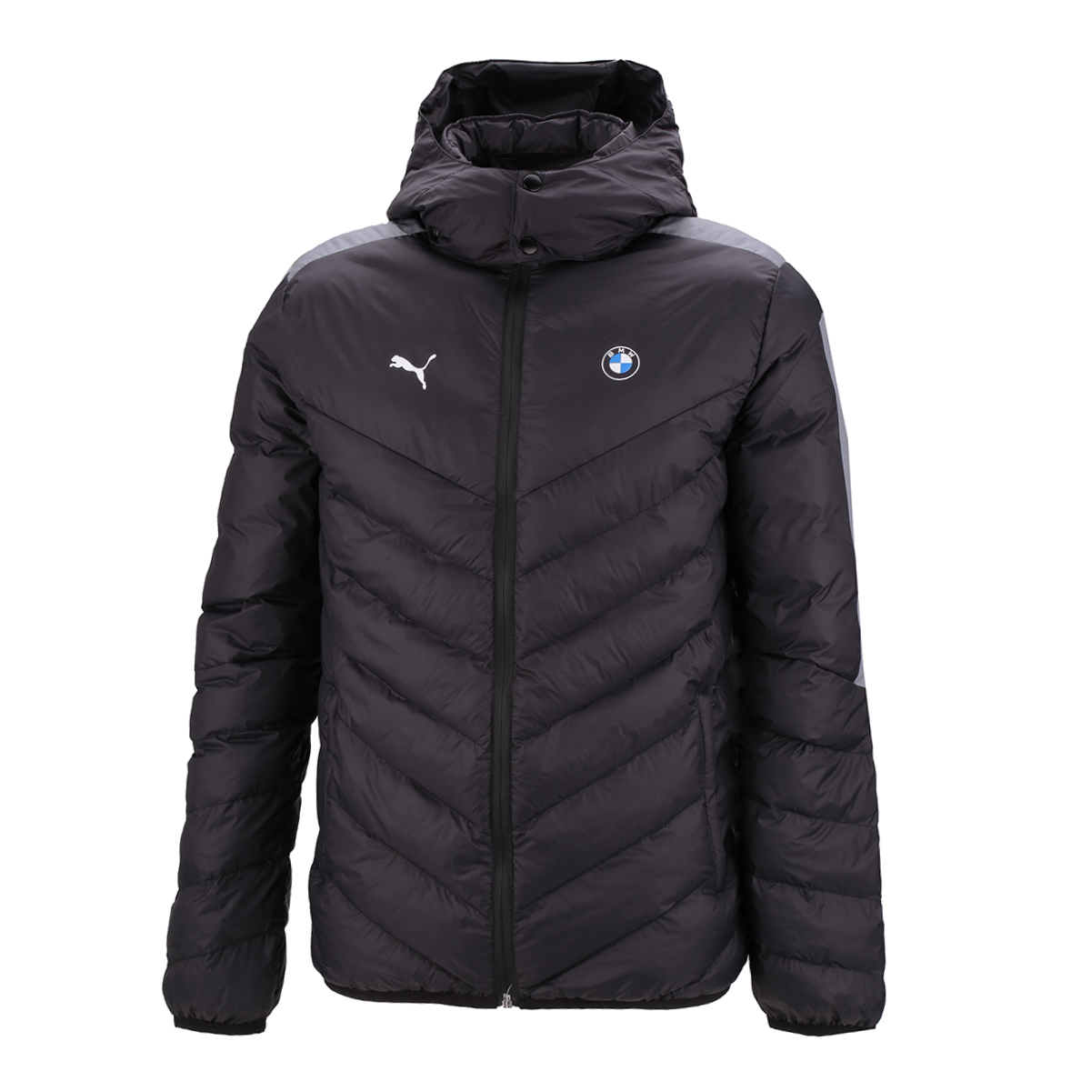 Campera Puma BMW Motorsport T7 Ecolite Down,  image number null