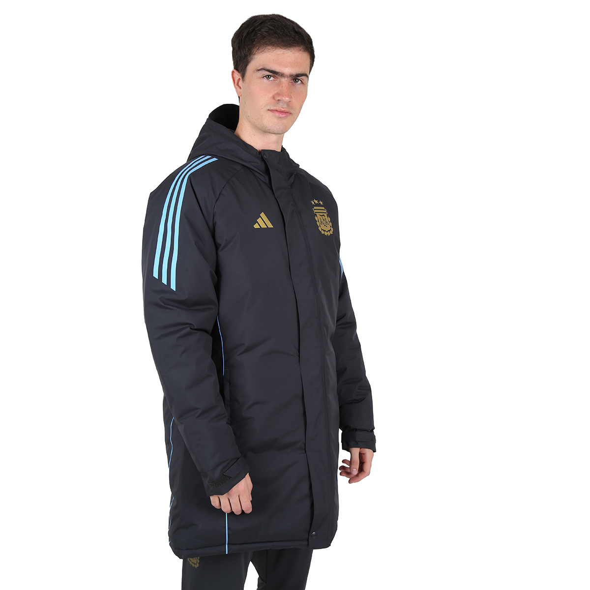 Campera Argentina adidas Tiro 24 Club Stadium Hombre,  image number null