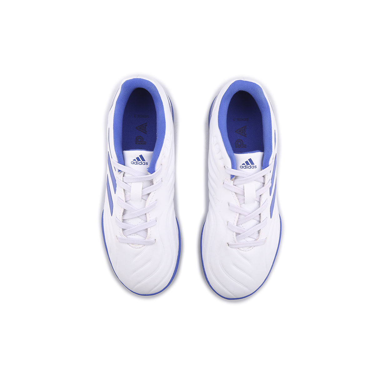 Botines adidas Copa Sense.3 Tf,  image number null