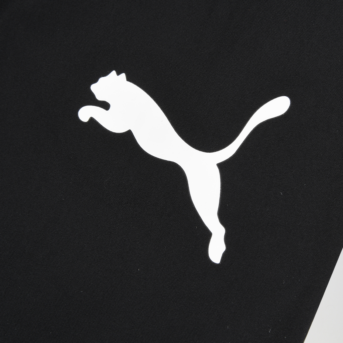 Conjunto Puma Teamrise Hombre,  image number null