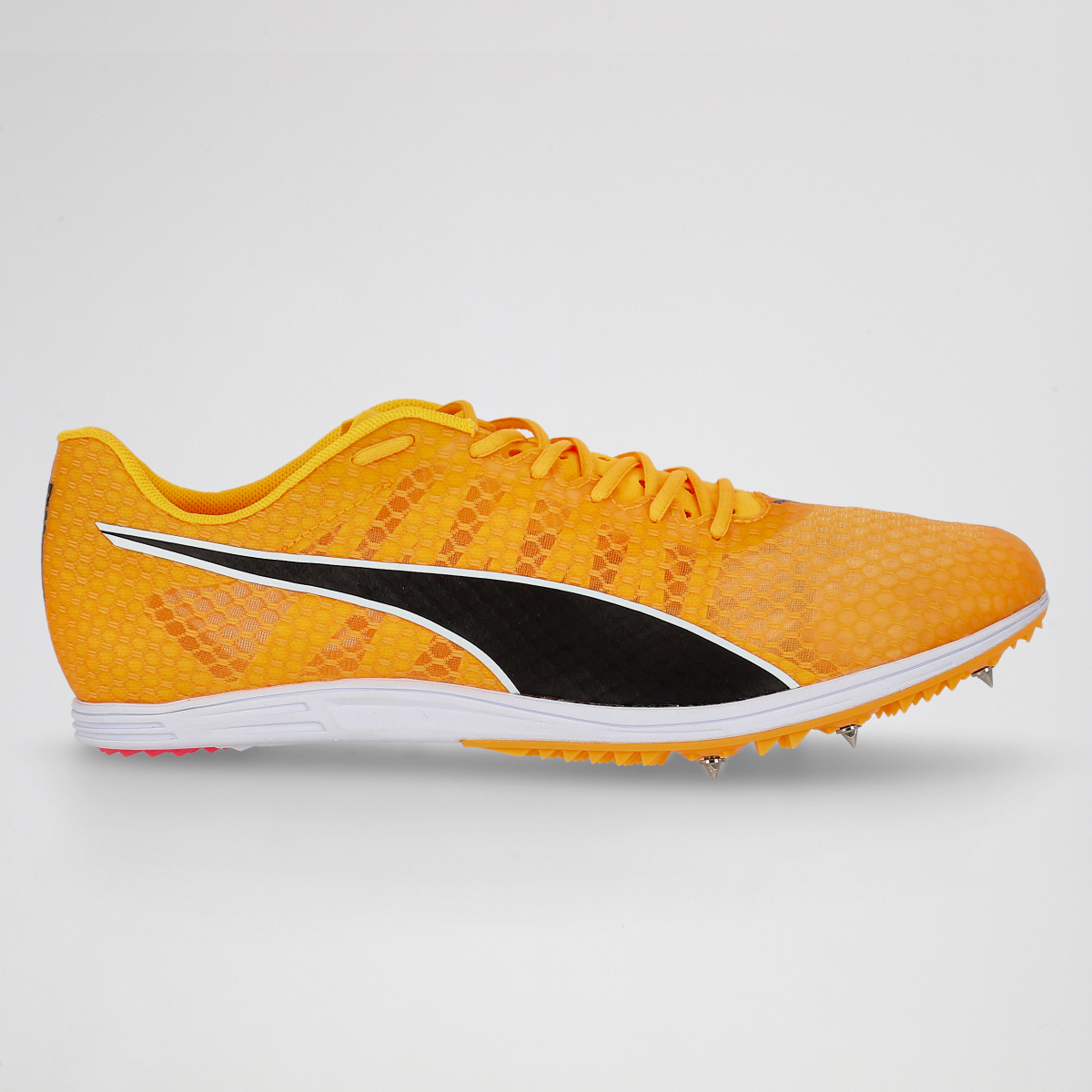 Zapatillas Running Puma Evospeed Distance 11 Hombre,  image number null