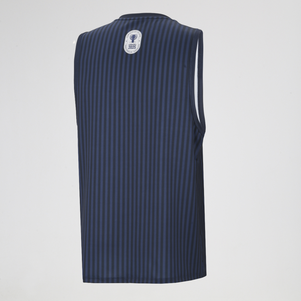 Musculosa Talleres Le Coq Sportif Hombre,  image number null