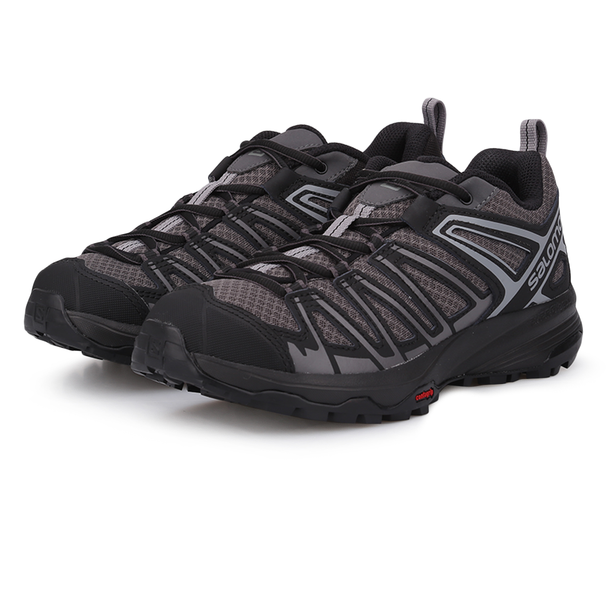 Zapatillas Salomon X Crest Dexter