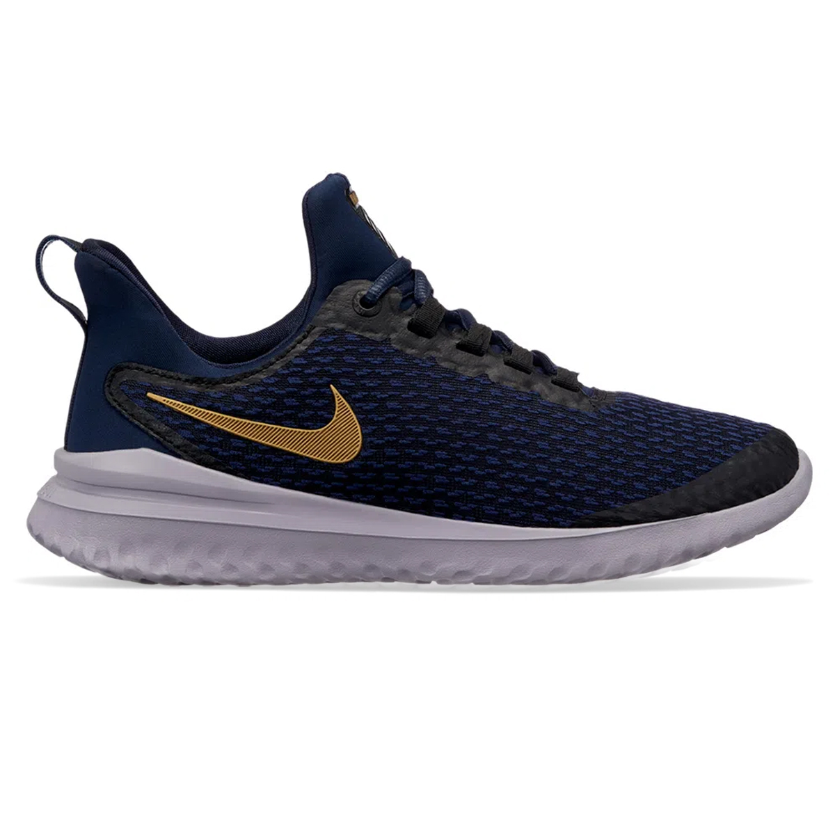 Zapatillas Nike Renew Rival Dexter