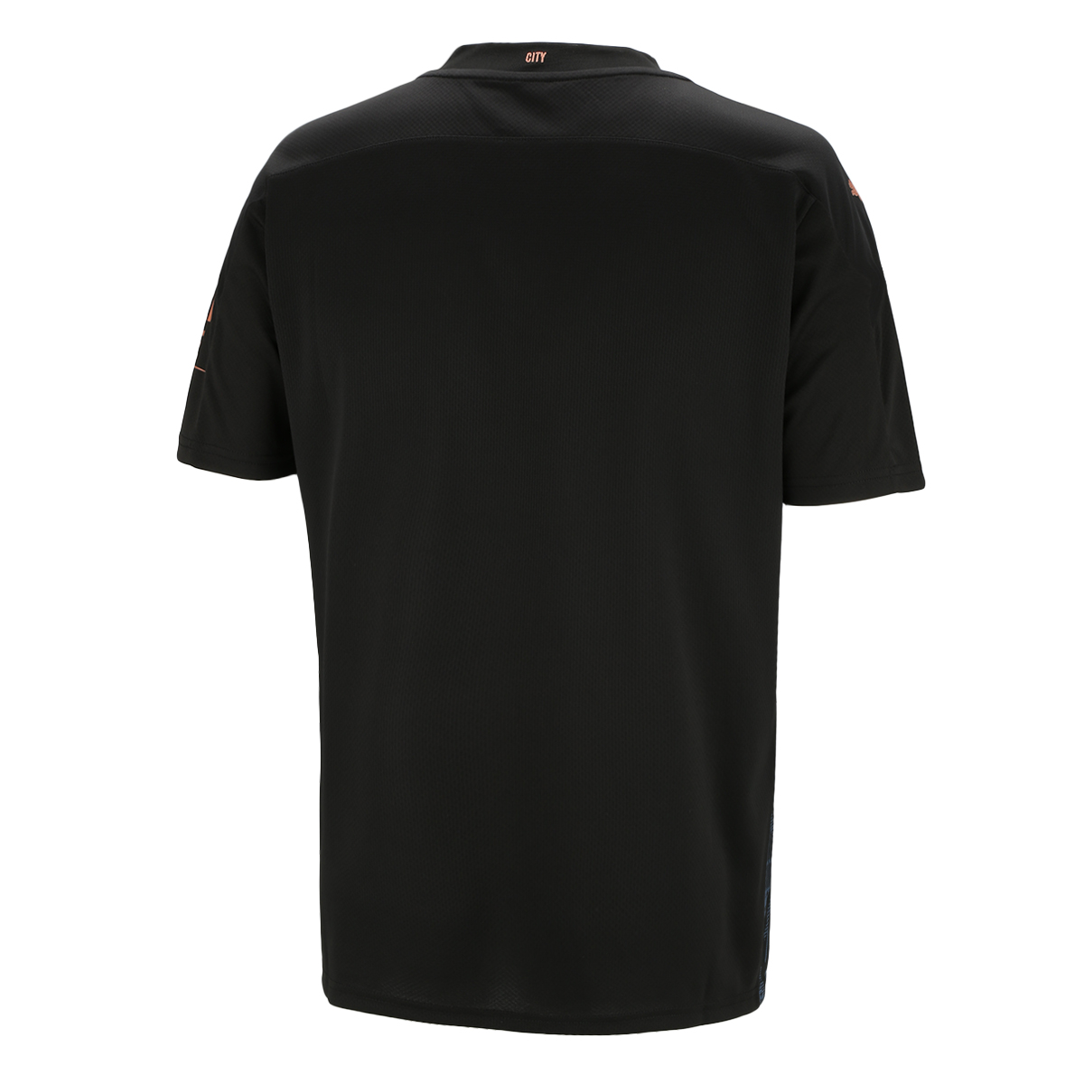 Camiseta Puma Manchester City Alternativa 2020/21,  image number null